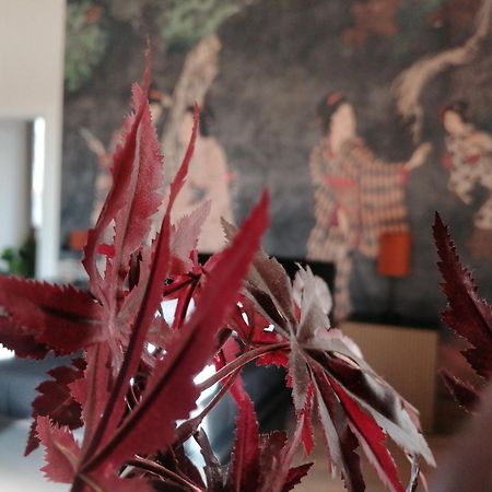 Le Boutique Luxury Rooms Diffused In Historic Center Fiumicino Eksteriør billede