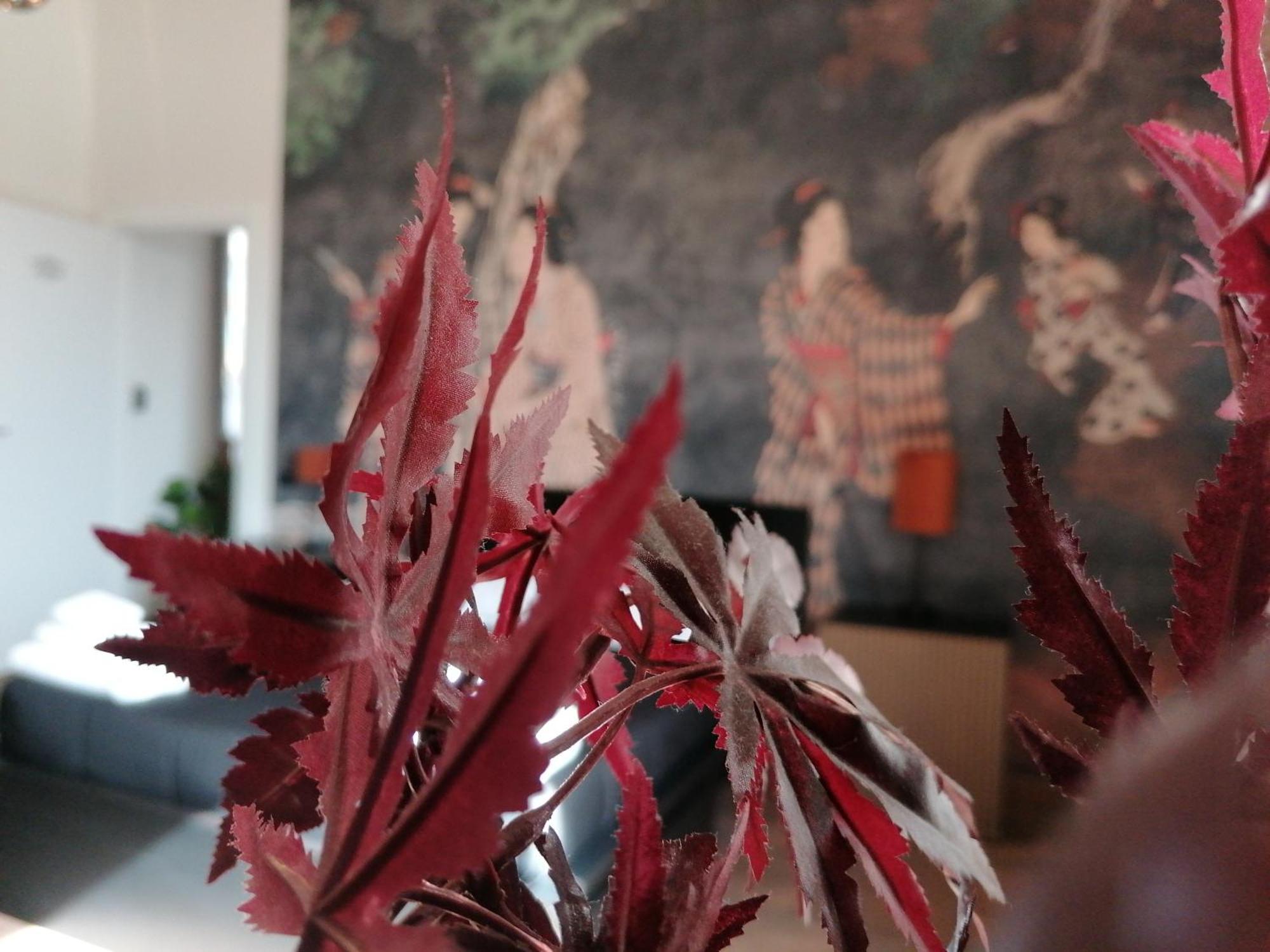 Le Boutique Luxury Rooms Diffused In Historic Center Fiumicino Eksteriør billede
